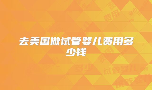 去美国做试管婴儿费用多少钱
