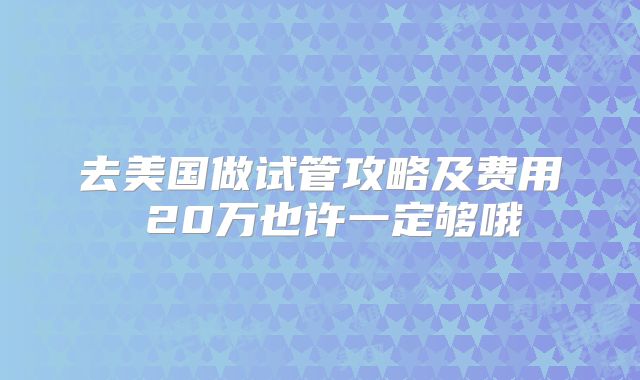 去美国做试管攻略及费用 20万也许一定够哦