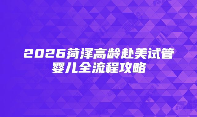 2026菏泽高龄赴美试管婴儿全流程攻略