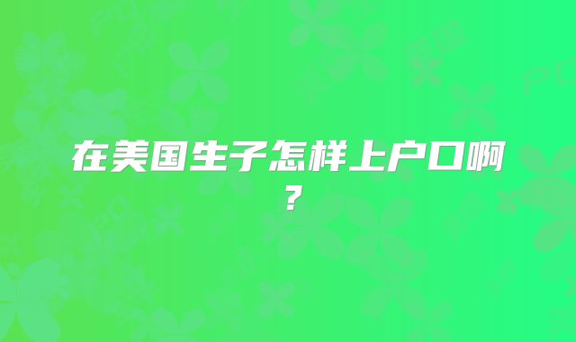 在美国生子怎样上户口啊？