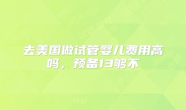 去美国做试管婴儿费用高吗，预备13够不