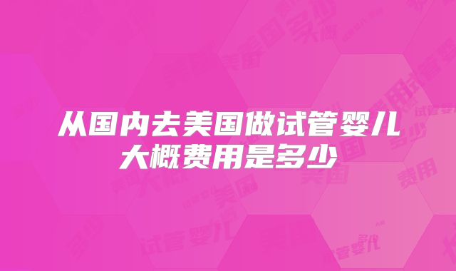 从国内去美国做试管婴儿大概费用是多少