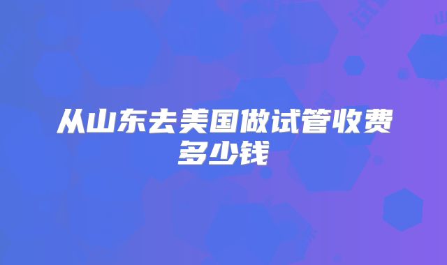 从山东去美国做试管收费多少钱