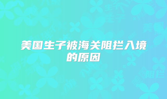 美国生子被海关阻拦入境的原因