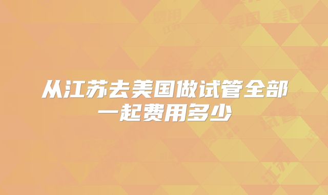 从江苏去美国做试管全部一起费用多少