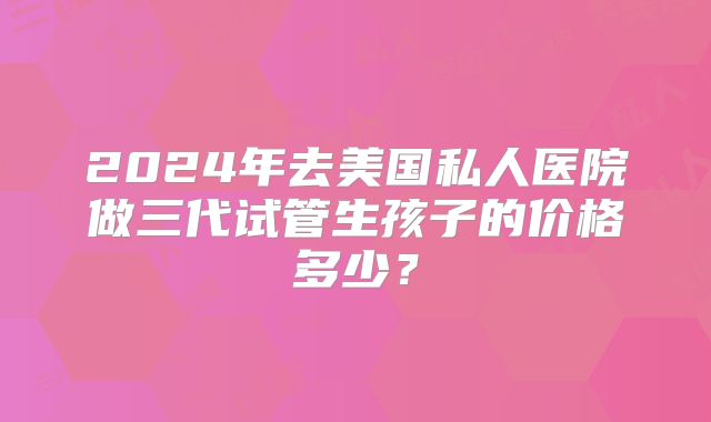 2024年去美国私人医院做三代试管生孩子的价格多少？