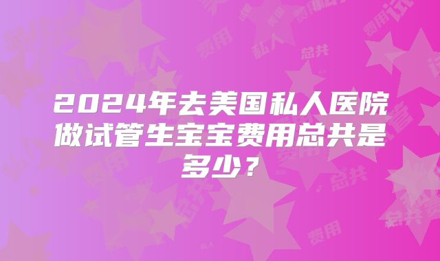 2024年去美国私人医院做试管生宝宝费用总共是多少?