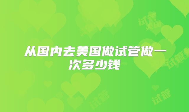 从国内去美国做试管做一次多少钱