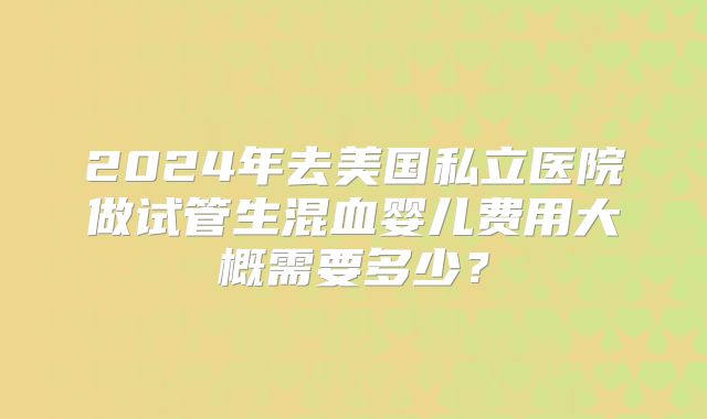 2024年去美国私立医院做试管生混血婴儿费用大概需要多少？