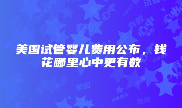 美国试管婴儿费用公布,钱花哪里心中更有数