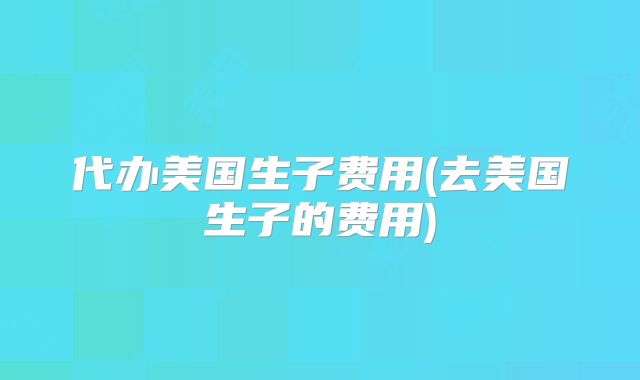 代办美国生子费用(去美国生子的费用)