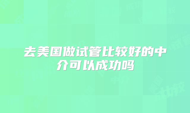 去美国做试管比较好的中介可以成功吗
