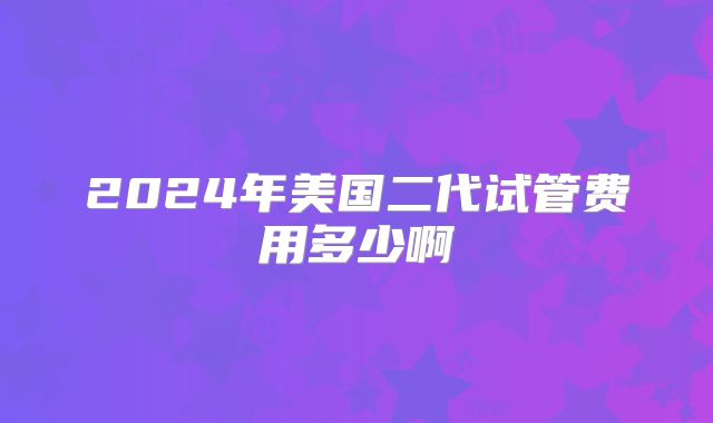 2024年美国二代试管费用多少啊
