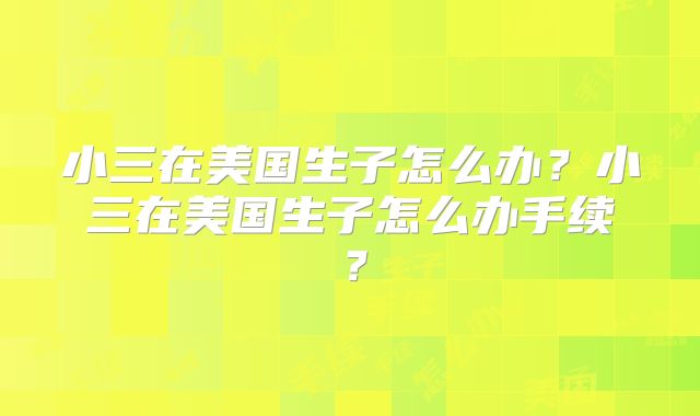 小三在美国生子怎么办？小三在美国生子怎么办手续？