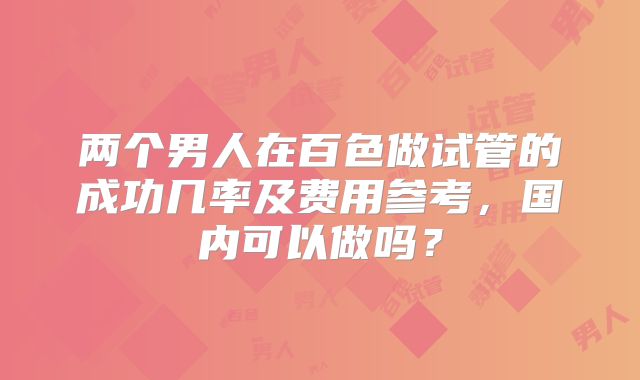 两个男人在百色做试管的成功几率及费用参考,国内可以做吗?