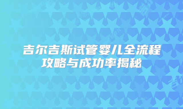 吉尔吉斯试管婴儿全流程攻略与成功率揭秘