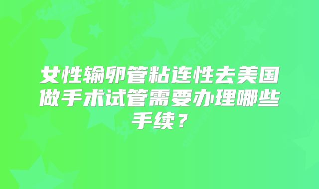 女性输卵管粘连性去美国做手术试管需要办理哪些手续？