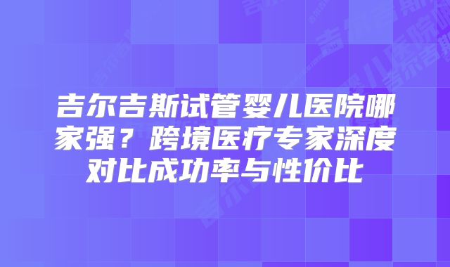 吉尔吉斯试管婴儿医院哪家强？跨境医疗专家深度对比成功率与性价比