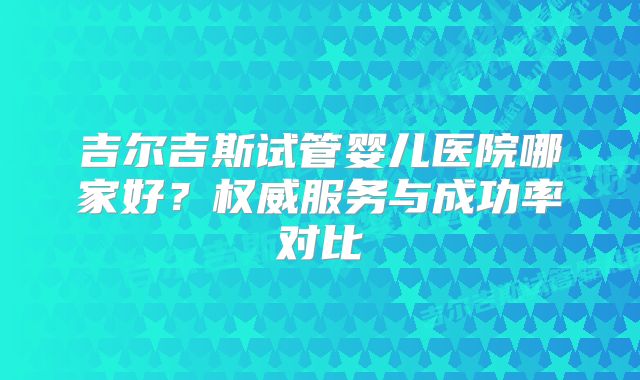 吉尔吉斯试管婴儿医院哪家好？权威服务与成功率对比