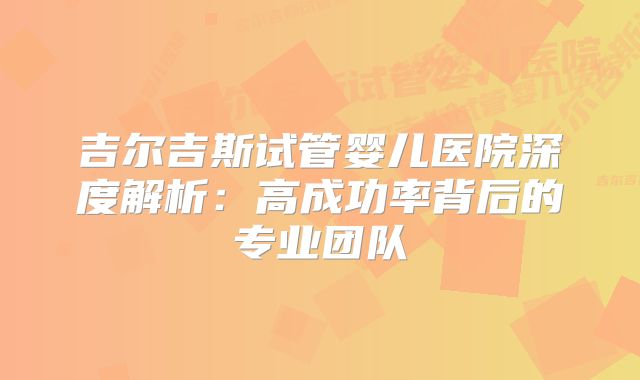吉尔吉斯试管婴儿医院深度解析：高成功率背后的专业团队