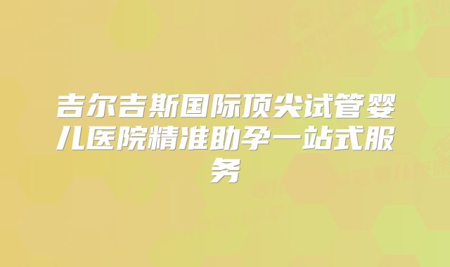吉尔吉斯国际顶尖试管婴儿医院精准助孕一站式服务