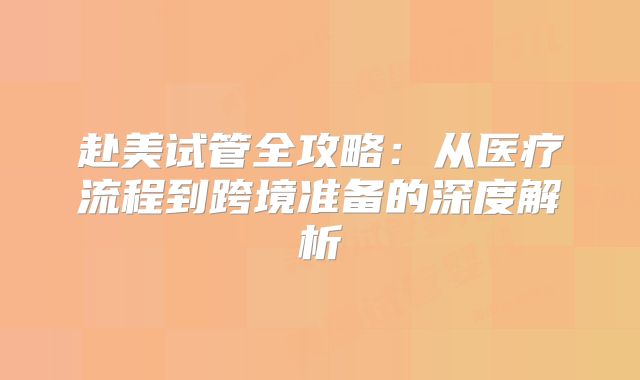 赴美试管全攻略:从医疗流程到跨境准备的深度解析