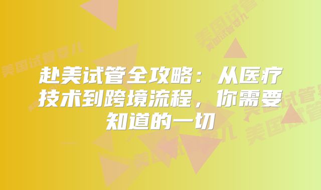 赴美试管全攻略：从医疗技术到跨境流程，你需要知道的一切