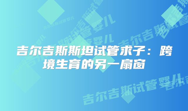吉尔吉斯斯坦试管求子：跨境生育的另一扇窗