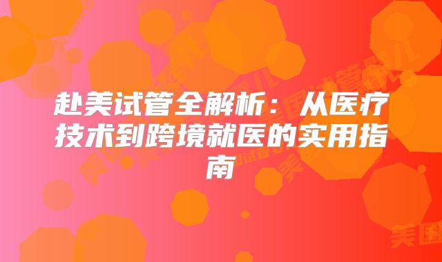 赴美试管全解析：从医疗技术到跨境就医的实用指南