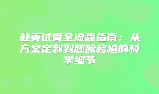 赴美试管全流程指南：从方案定制到胚胎移植的科学细节