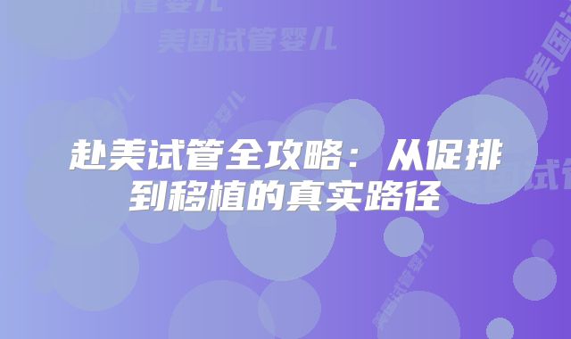 赴美试管全攻略：从促排到移植的真实路径