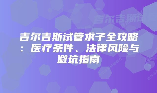 吉尔吉斯试管求子全攻略：医疗条件、法律风险与避坑指南