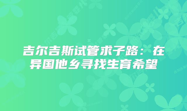 吉尔吉斯试管求子路：在异国他乡寻找生育希望