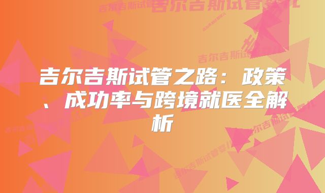 吉尔吉斯试管之路：政策、成功率与跨境就医全解析