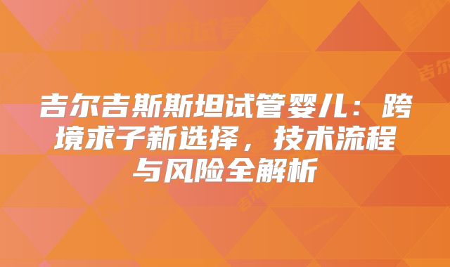 吉尔吉斯斯坦试管婴儿：跨境求子新选择，技术流程与风险全解析