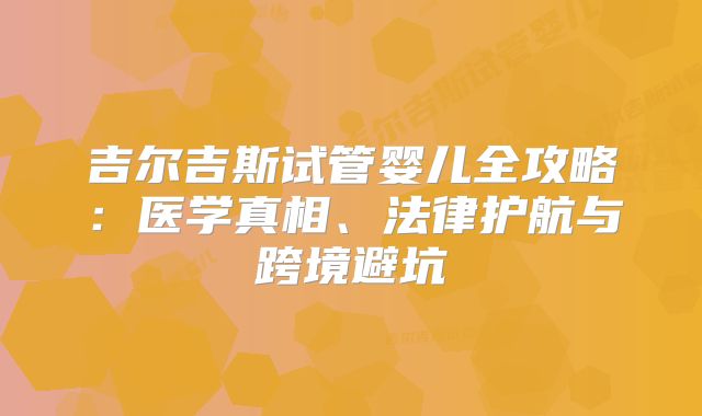 吉尔吉斯试管婴儿全攻略:医学真相、法律护航与跨境避坑