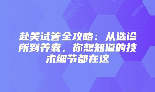 赴美试管全攻略:从选诊所到养囊,你想知道的技术细节都在这