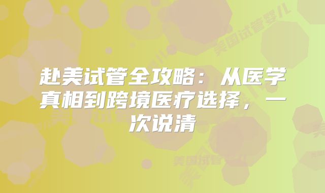 赴美试管全攻略：从医学真相到跨境医疗选择，一次说清
