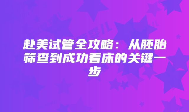 赴美试管全攻略：从胚胎筛查到成功着床的关键一步